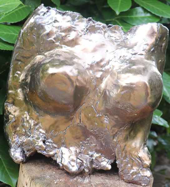 weiblicher Torso05 Thumb